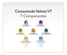 Conociendo Velneo V7 - 7 componentes 50